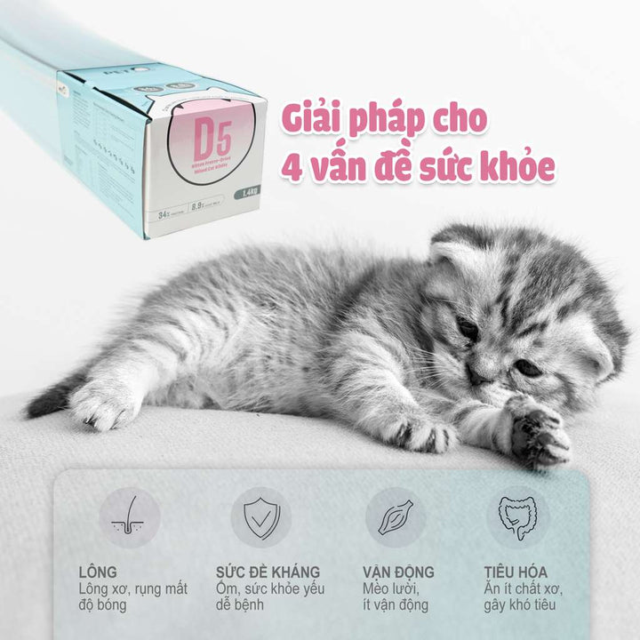 Thức Ăn Hạt Macaron D10, D5 PetQ Cho Mèo, Hộp 1.4Kg ( 7 gói x 200g)