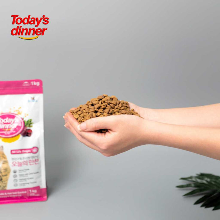 [1KG] Hạt Today's Dinner Mèo Mọi Lứa Tuổi
