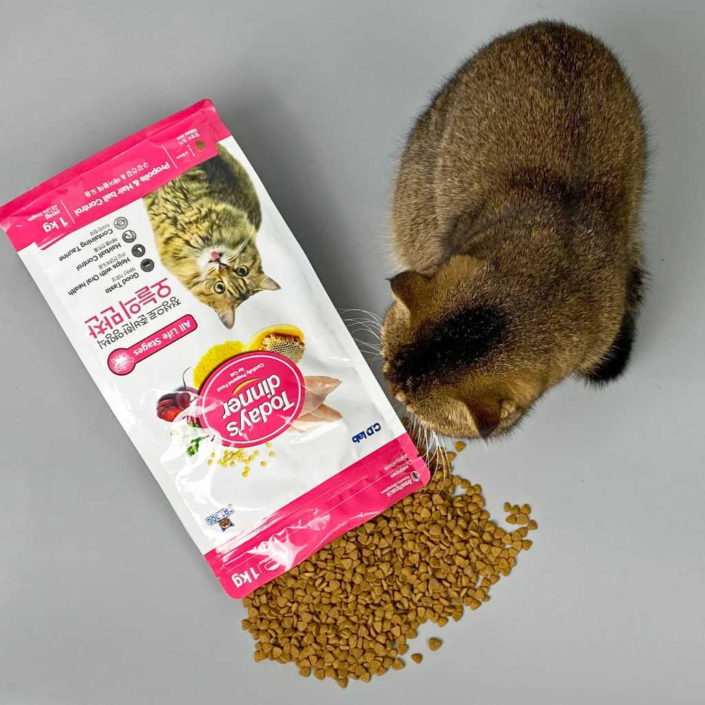 [1KG] Hạt Today's Dinner Mèo Mọi Lứa Tuổi