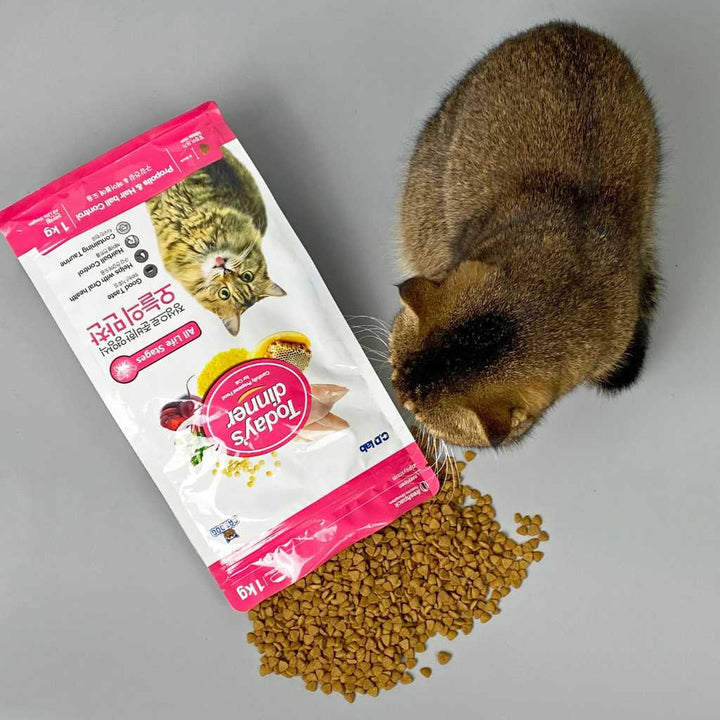 [1KG] Hạt Today's Dinner Mèo Mọi Lứa Tuổi