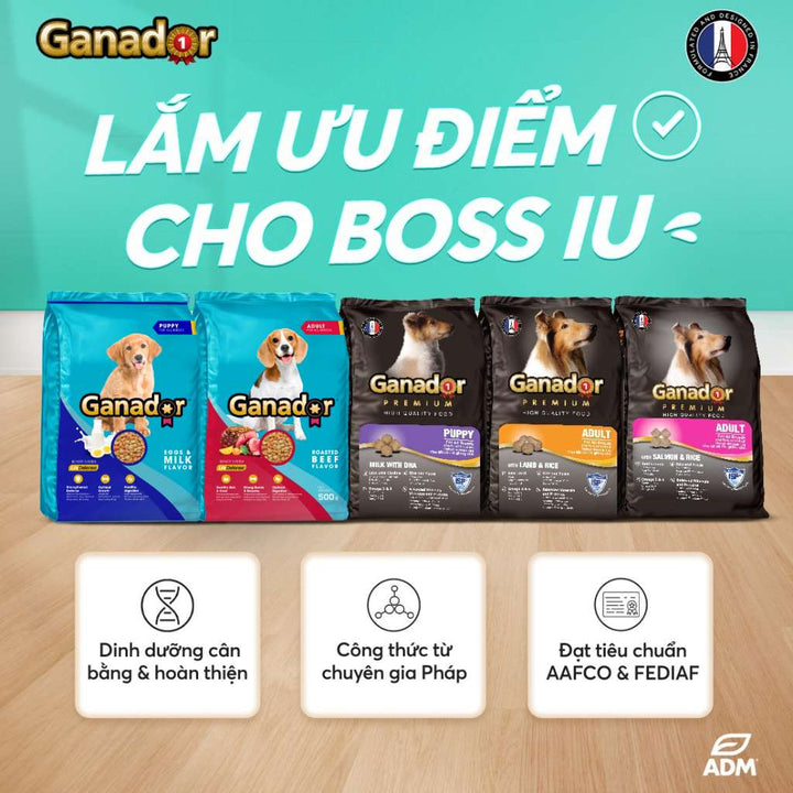 [10KG Bao Xá] Hạt Ganador Chó Mọi Lứa Tuổi | Pet's Warehouse
