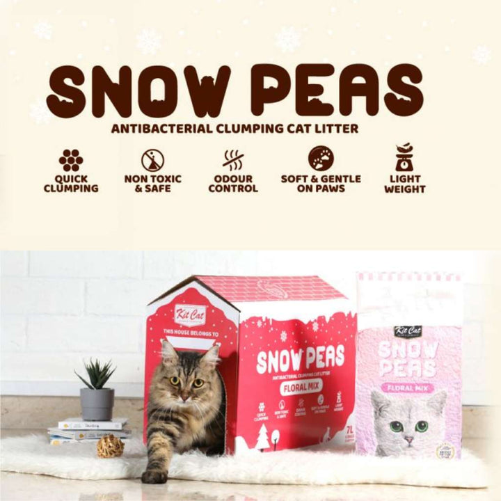 [7L] Cát Đậu Tuyết Snow Peas Kit Cat Mèo