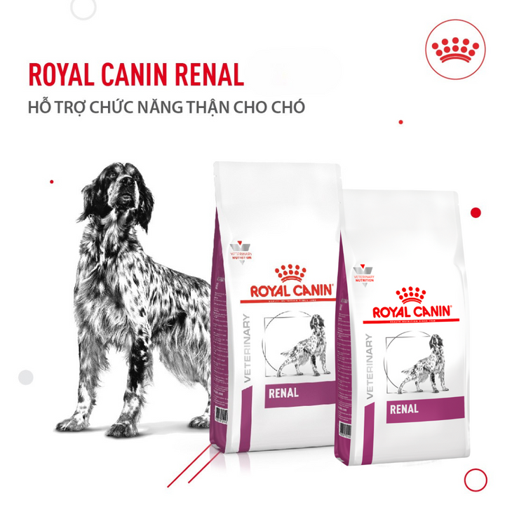 [2KG] Hạt Royal Canin Chó Renal