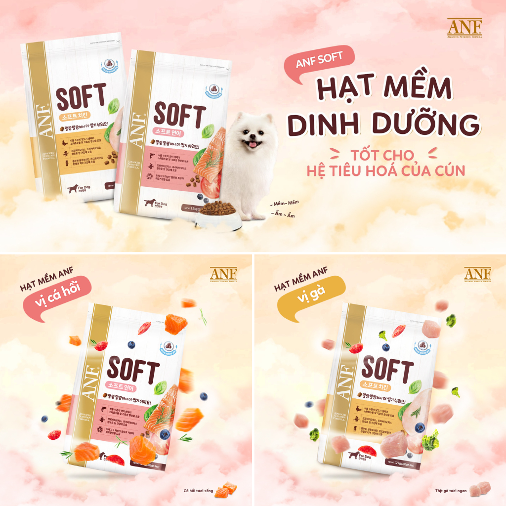 [1.2KG] Hạt Anf Soft Chó Mọi Lứa Tuổi