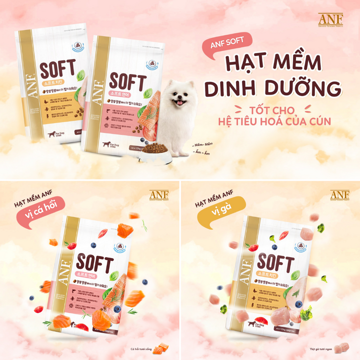 [1.2KG] Hạt Anf Soft Chó Mọi Lứa Tuổi