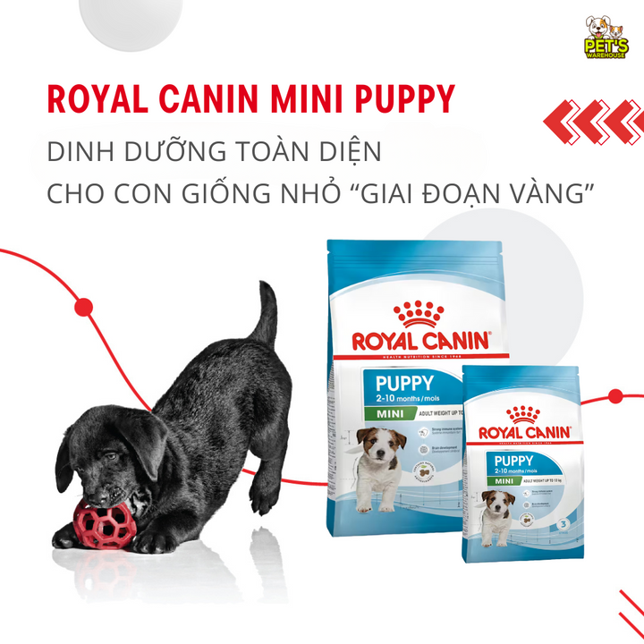 [800G - 2KG] Royal Canin Mini Puppy