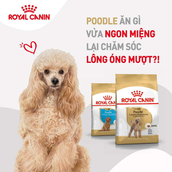 [500G-1.5KG] Royal Canin Poodle