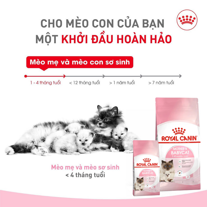 [400G - 2KG] Royal Canin Mother & Baby Cat