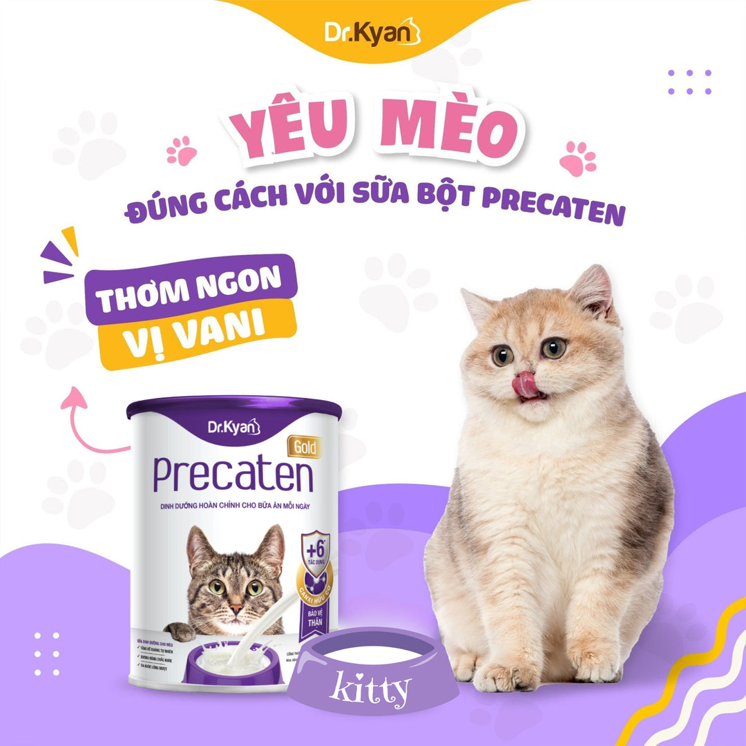 [100G - 400G] Sữa Bột Dr.Kyan Predogen Gold Cho Mèo