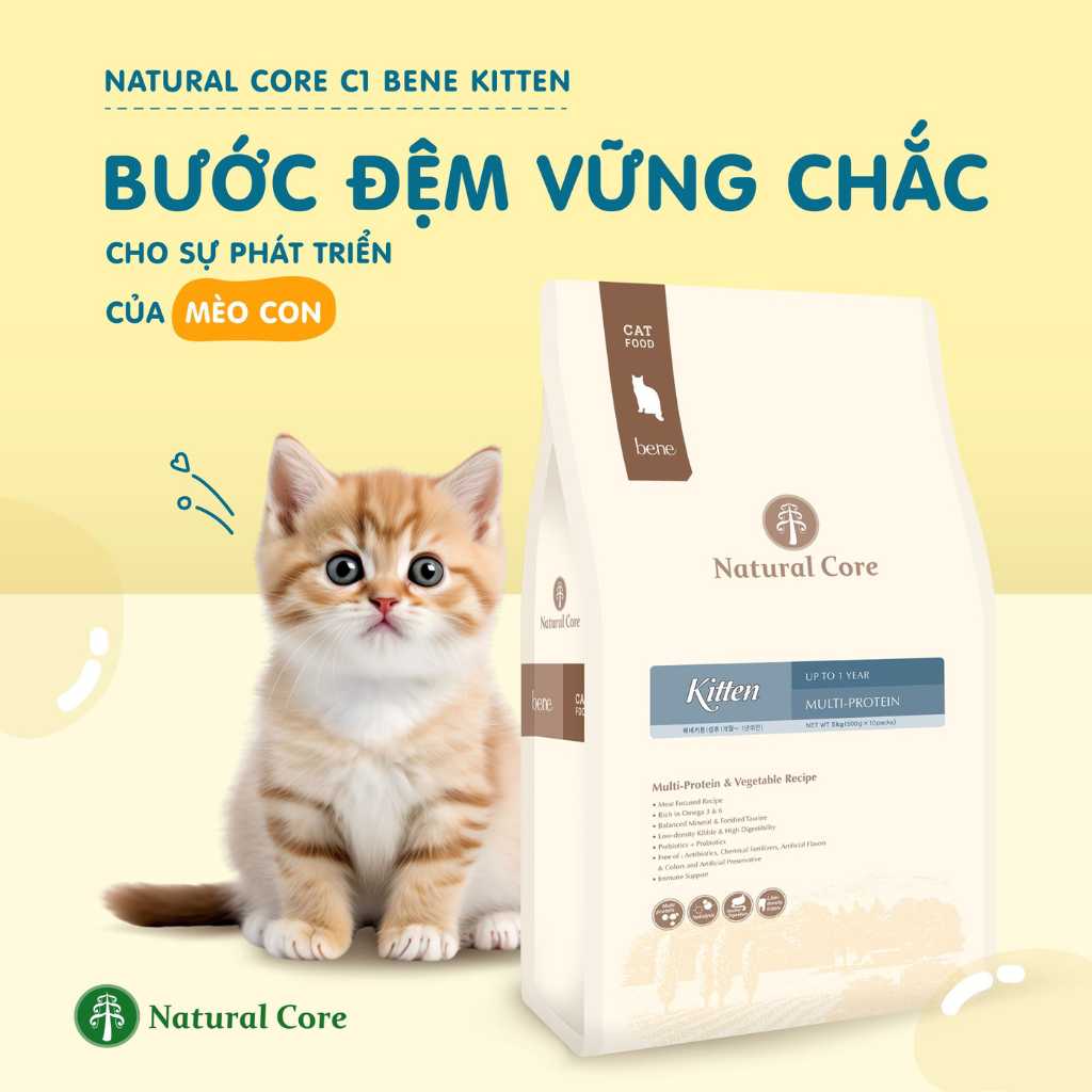[400G - 2KG] Hạt Hữu Cơ Natural Core Mèo Con
