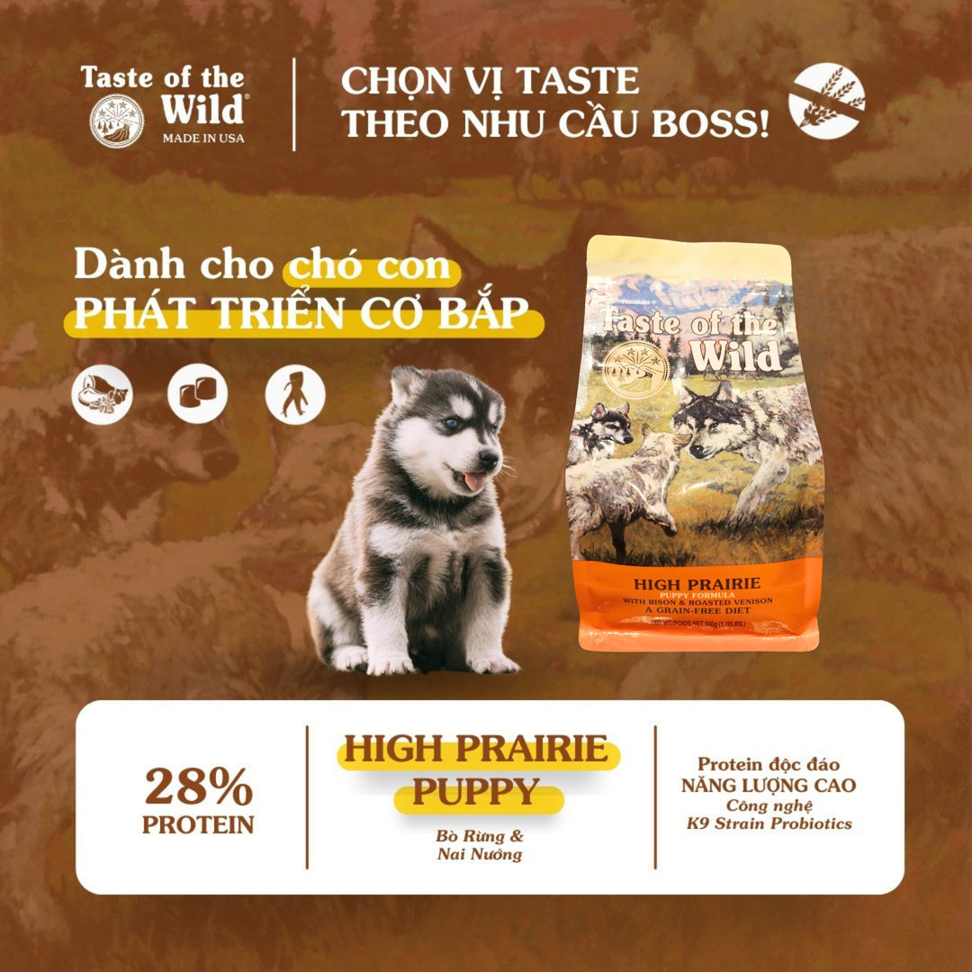 [500G] Hạt Cho Chó Taste of the Wild Các Loại, Chọn Vị Theo Nhu Cầu Boss