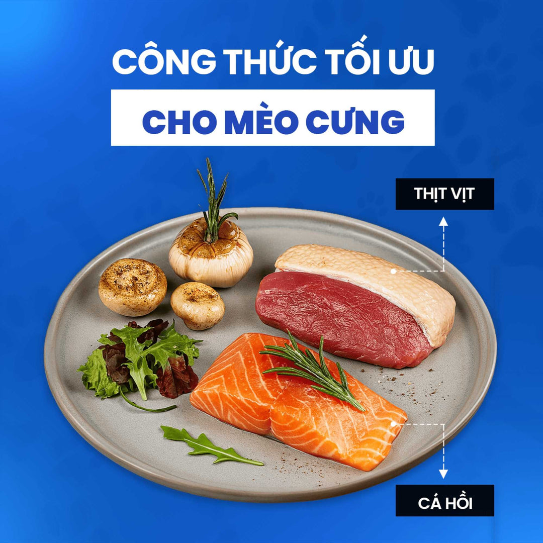 Hạt Dinh Dưỡng Chức Năng Fine Dining Cho Mèo Trưởng Thành, Túi 1.8Kg