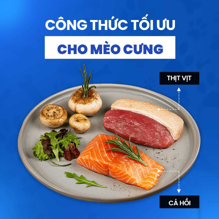 Hạt Dinh Dưỡng Chức Năng Fine Dining Cho Mèo Trưởng Thành, Túi 1.8Kg