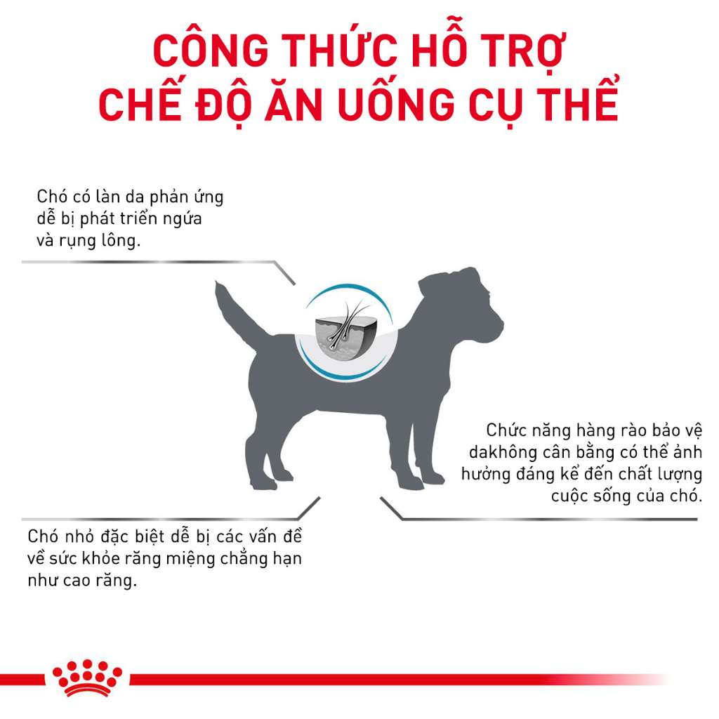 [2KG] Hạt Royal Canin Chó Skin Care | Pet's Warehouse