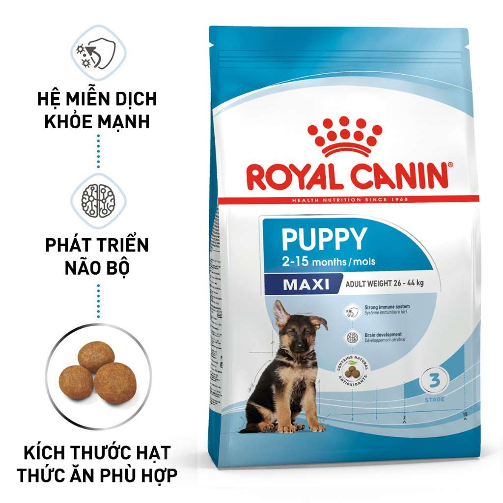 [1KG-4KG] Hạt Royal Canin Maxi Chó
