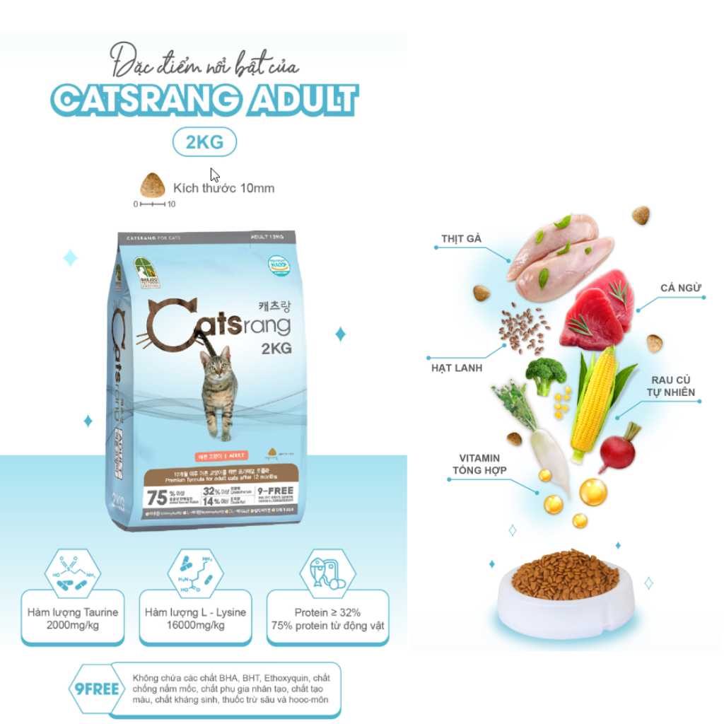 [2KG] Hạt Catsrang Mèo Lớn - Mèo Con