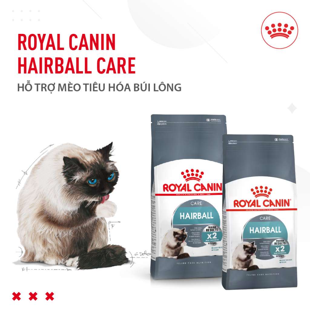 [400G-2KG] Hạt Royal Canin Mèo HairBall