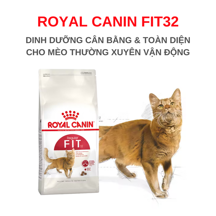 [400G - 2KG] Hạt Royal Canin Mèo Fit 32