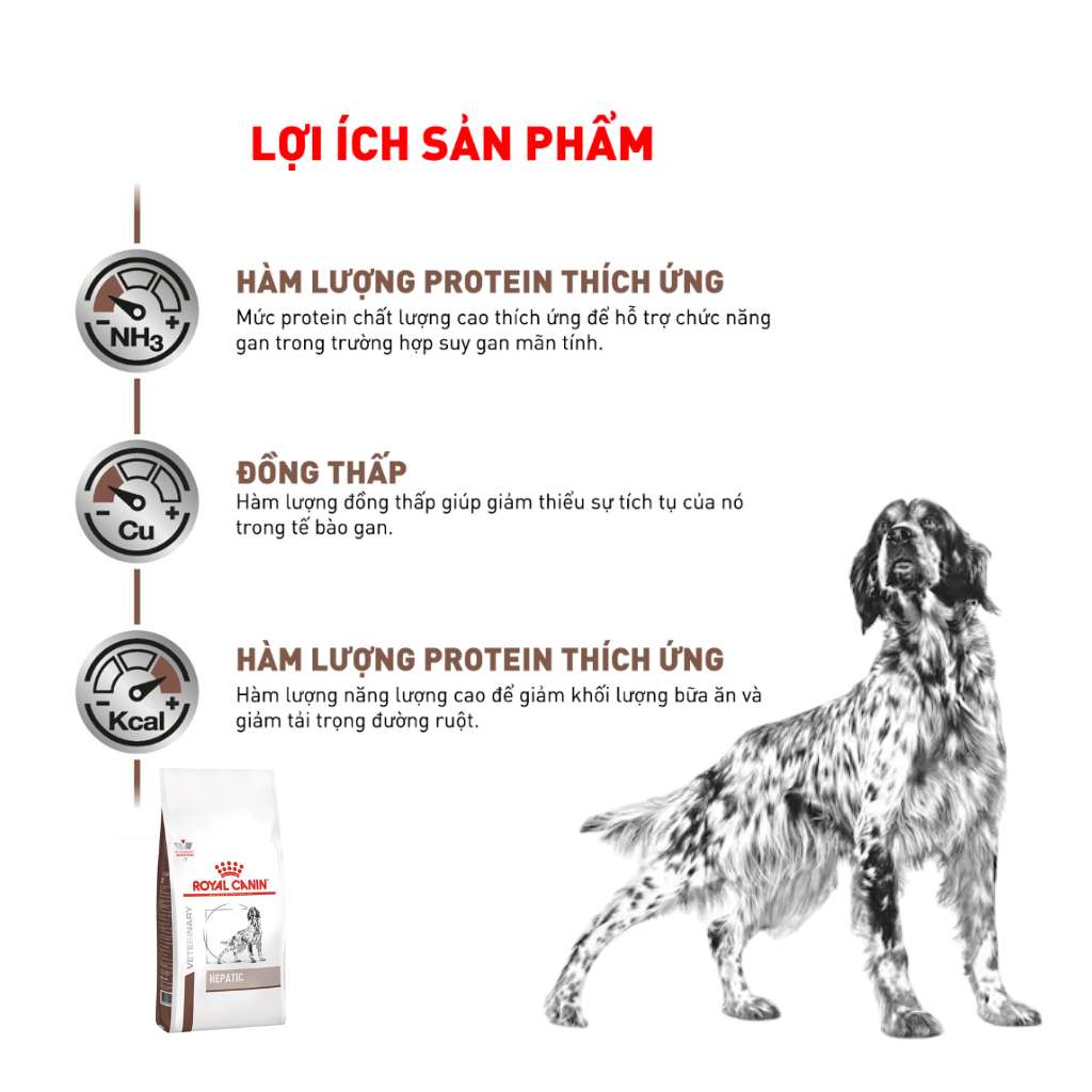 [1.5KG] Hạt Royal Canin Chó Hepatic