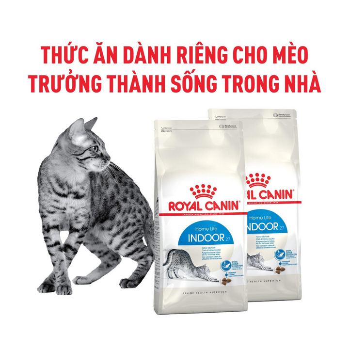 [400G - 2KG] Hạt Royal Canin Mèo Indoor