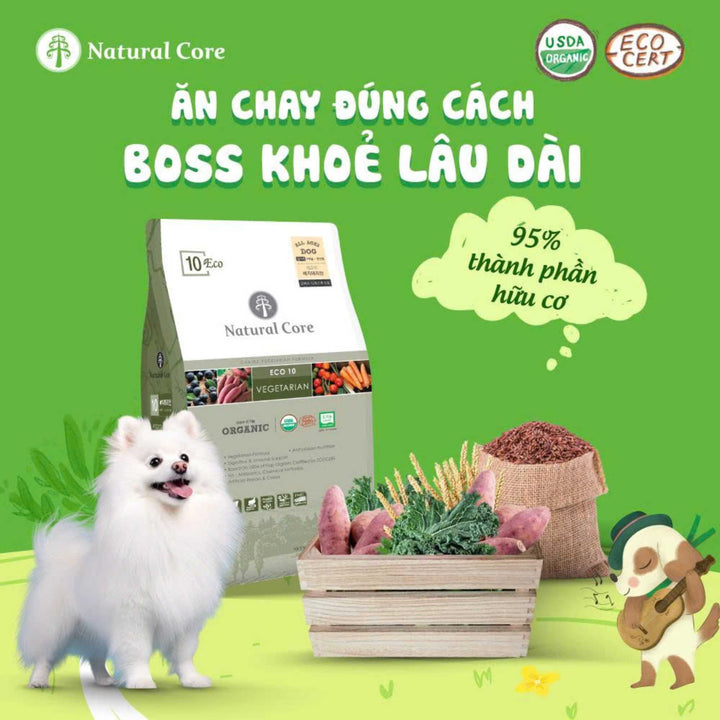 [6KG] Hạt Chay Cho Chó Natural Core ECO10, Hạt Hữu Cơ An Toàn