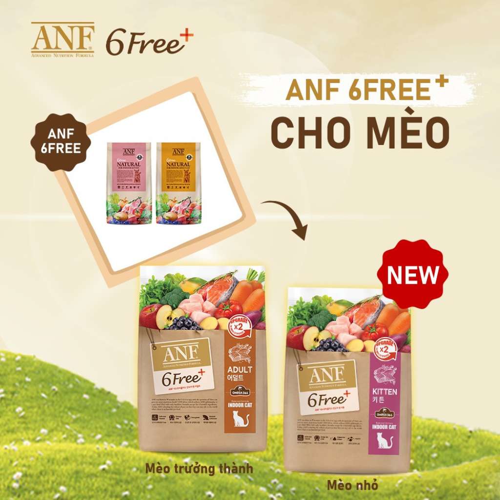 [1.6KG - 5.6KG] Hạt Anf 6Free+ Cao Cấp Mèo