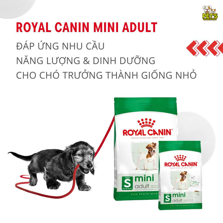 [800G-2KG] Hạt Royal Canin Chó Mini Adult