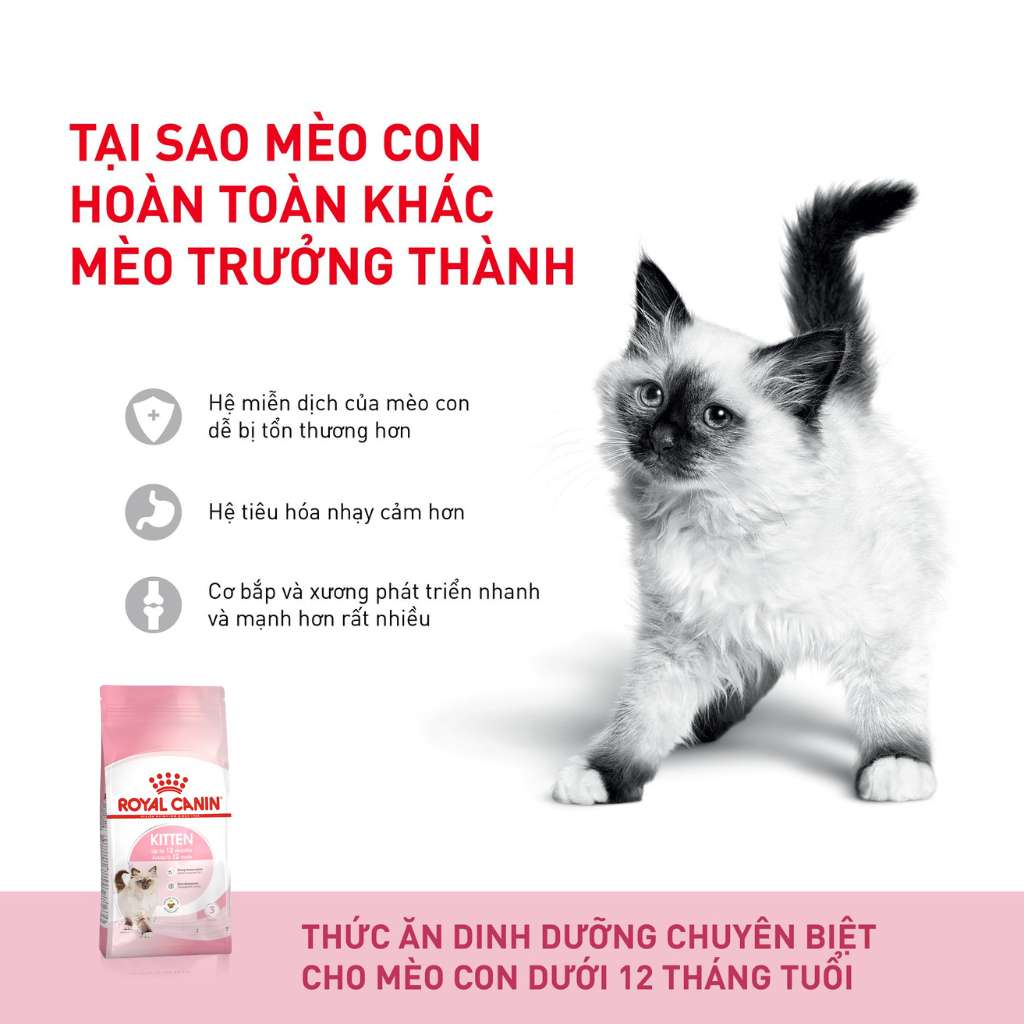 [400G - 2KG] Royal Canin Kitten