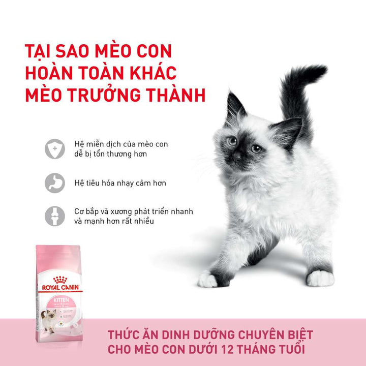 [400G - 2KG] Royal Canin Kitten