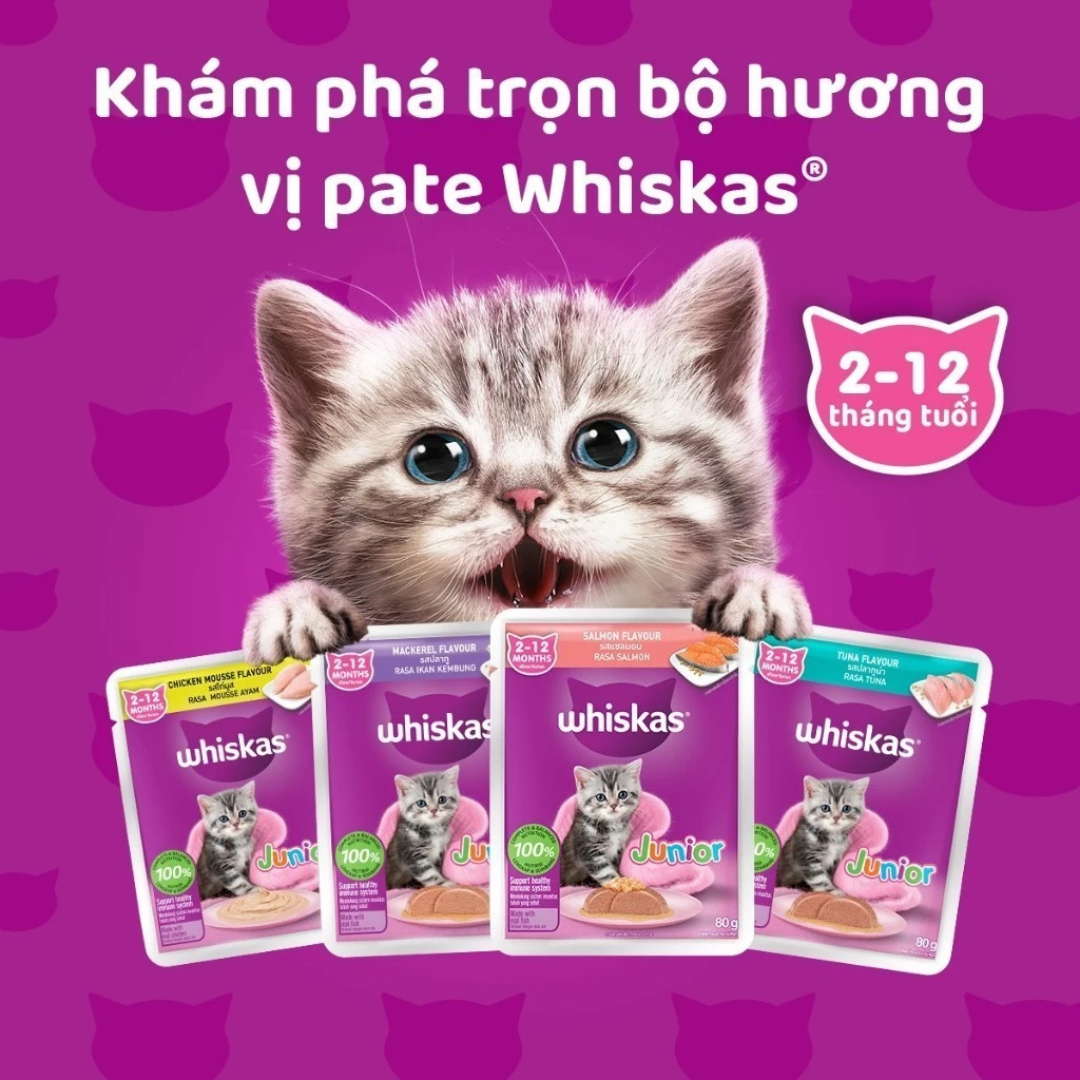 [Combo 12 Gói] Pate Whiskas Mèo Con Gói 80G