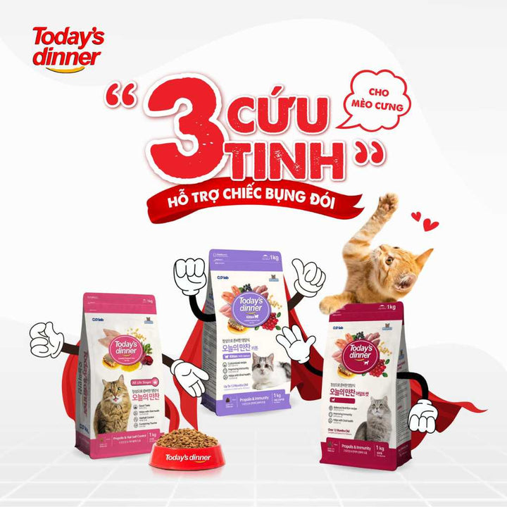 [1KG] Hạt Today's Dinner Mèo Mọi Lứa Tuổi