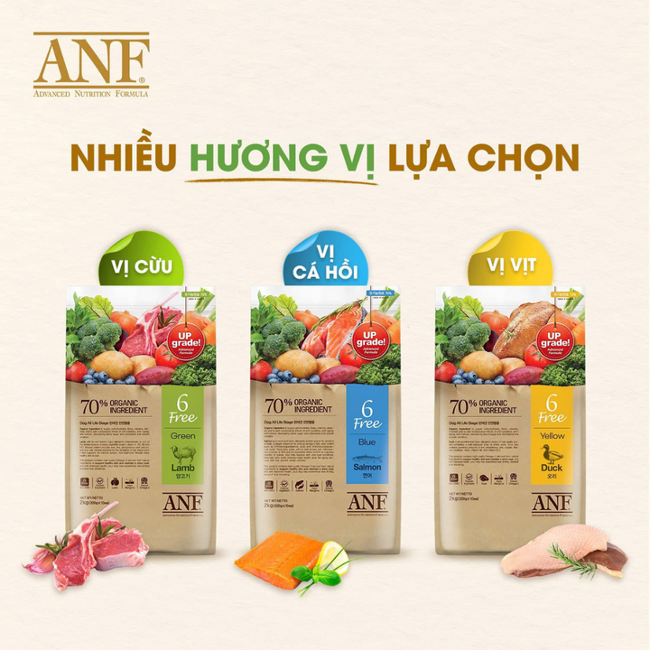[2KG - 6KG] Hạt Anf 6Free Chó Trên 6 Tháng Tuổi