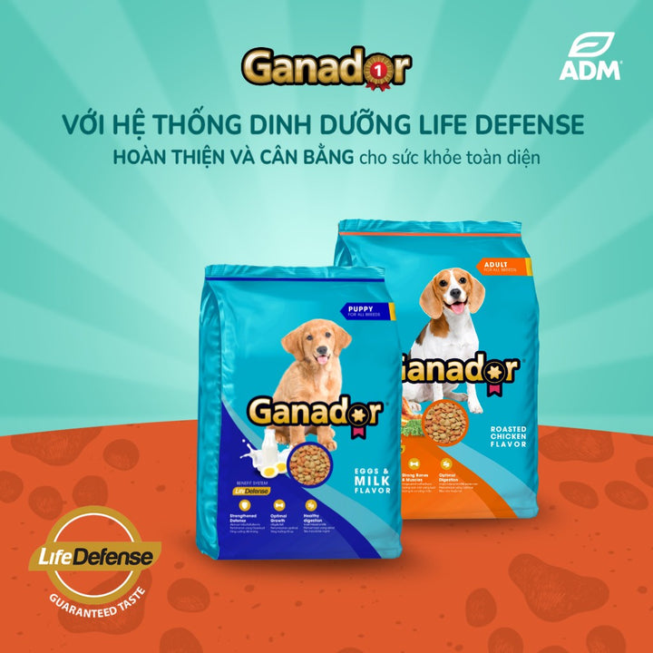 [Combo 2 Gói] Hạt Ganador Cho Chó Mọi Lứa Tuổi – Nhiều Vị Ngon, Túi 3Kg