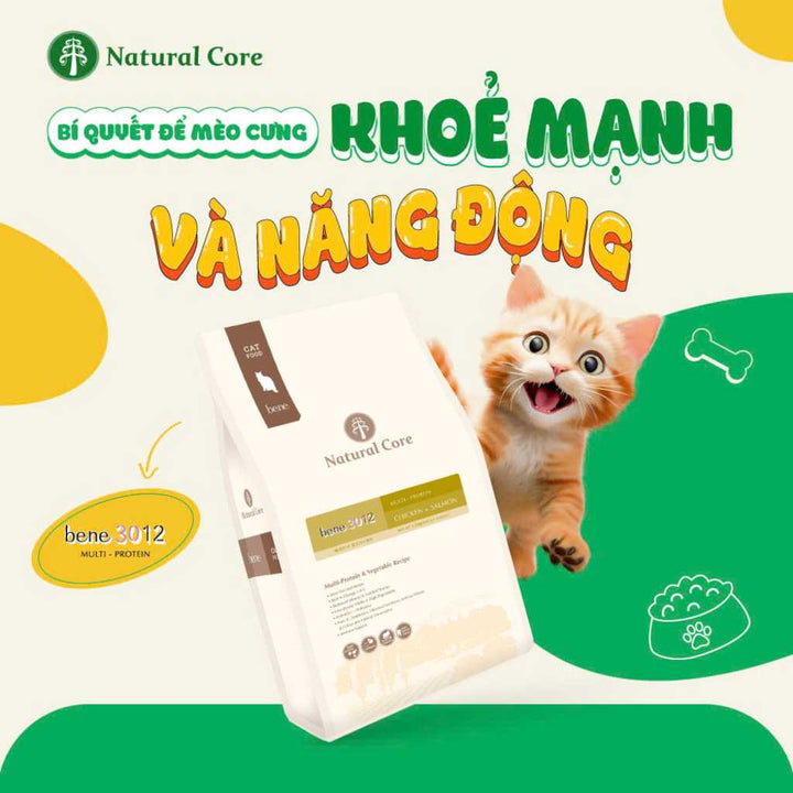 [10KG] Hạt Hữu Cơ Natural Core Mèo Trưởng Thành