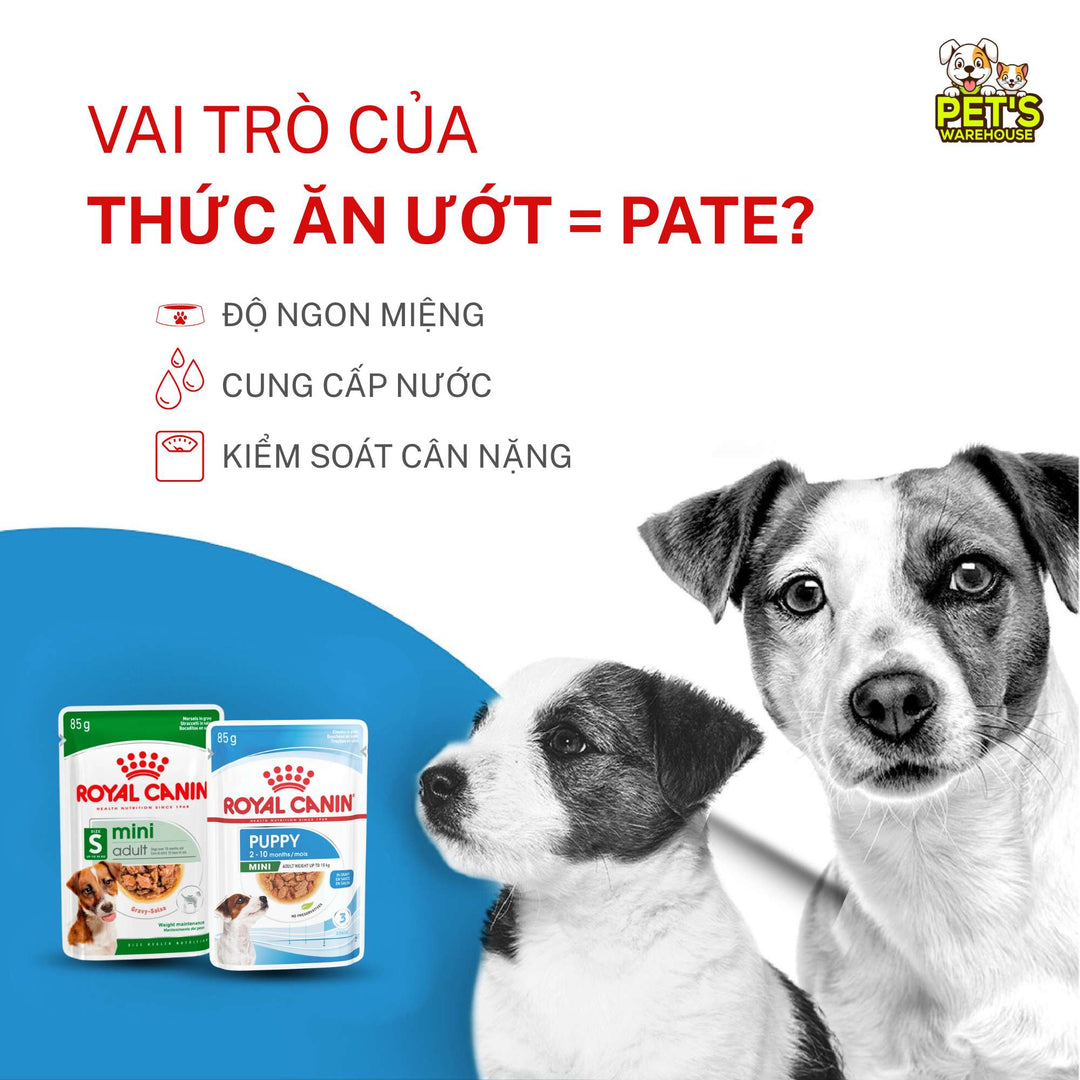 [Combo 3 - 12 Gói] Pate Royal Canin Cho Chó, Gói 85g