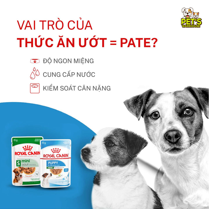 [Combo 3 - 12 Gói] Pate Royal Canin Cho Chó, Gói 85g
