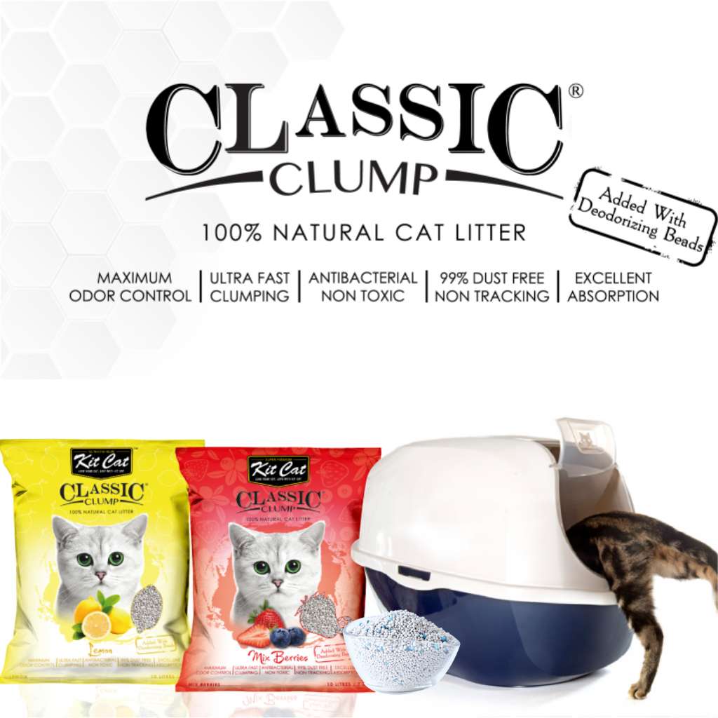 [10L] Cát Đất Sét Kit Cat Mèo