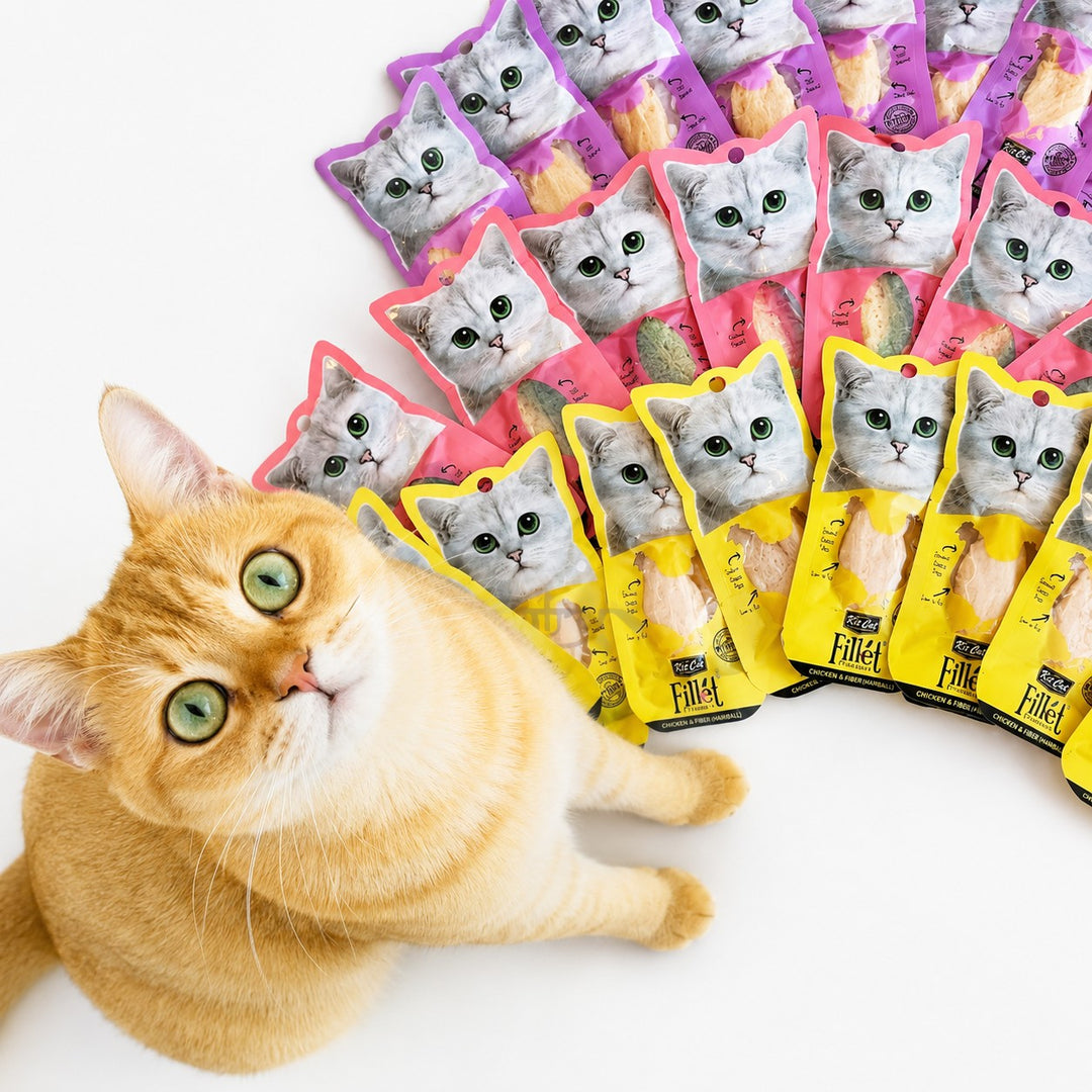 Fillet KitCat Cho Mèo Mọi Lứa Tuổi 30G