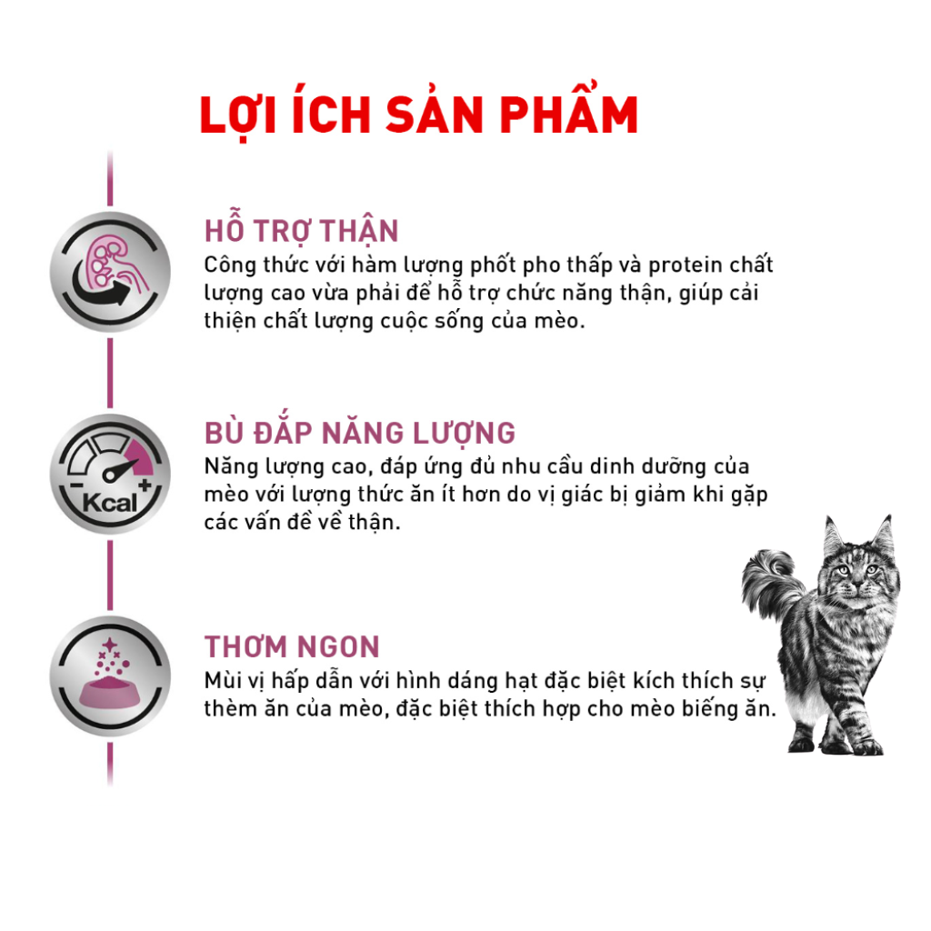 [2KG] Hạt Royal Canin Mèo Renal