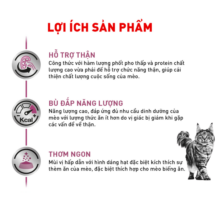 [2KG] Hạt Royal Canin Mèo Renal
