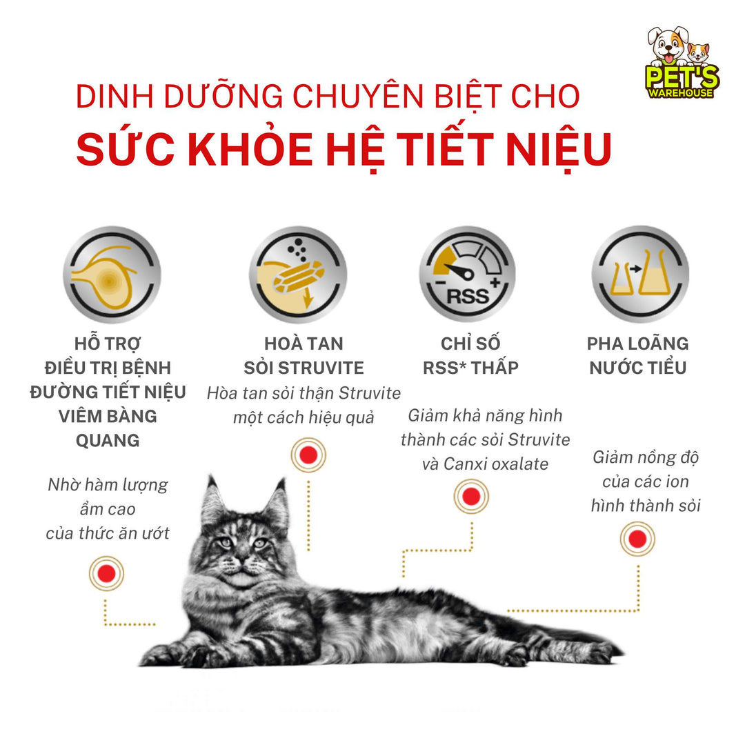 [Combo 3 - 12 Gói] Pate Mèo Royal Canin Urinary S/O, Gói 85g