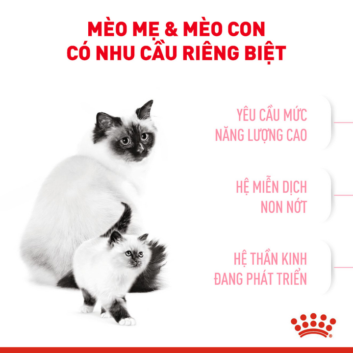 [400G - 2KG] Royal Canin Mother & Baby Cat