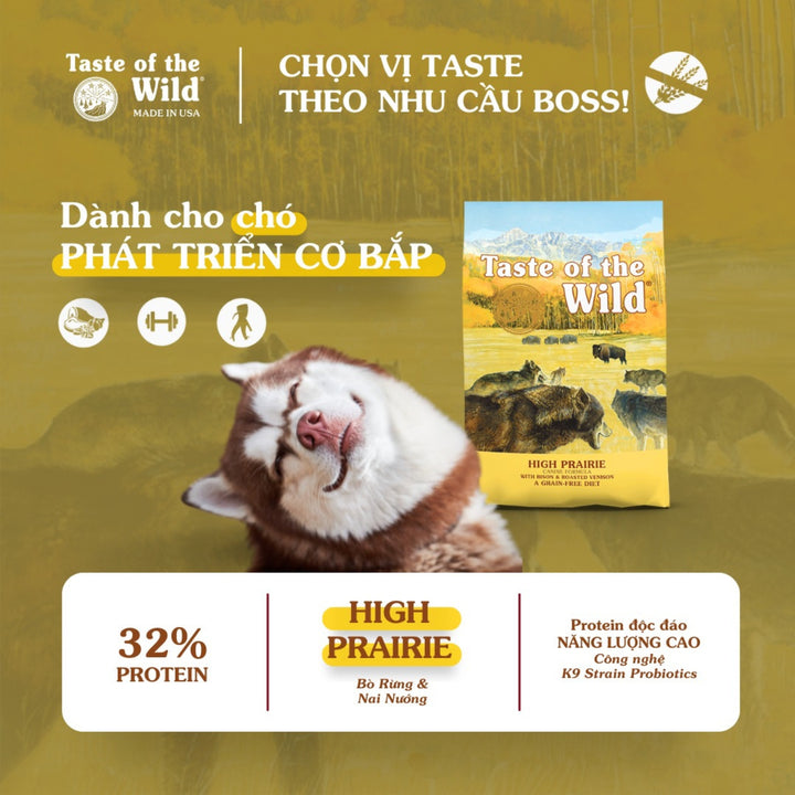 [2KG] Hạt Cho Chó Taste of the Wild Các Loại, Chọn Vị Theo Nhu Cầu Boss