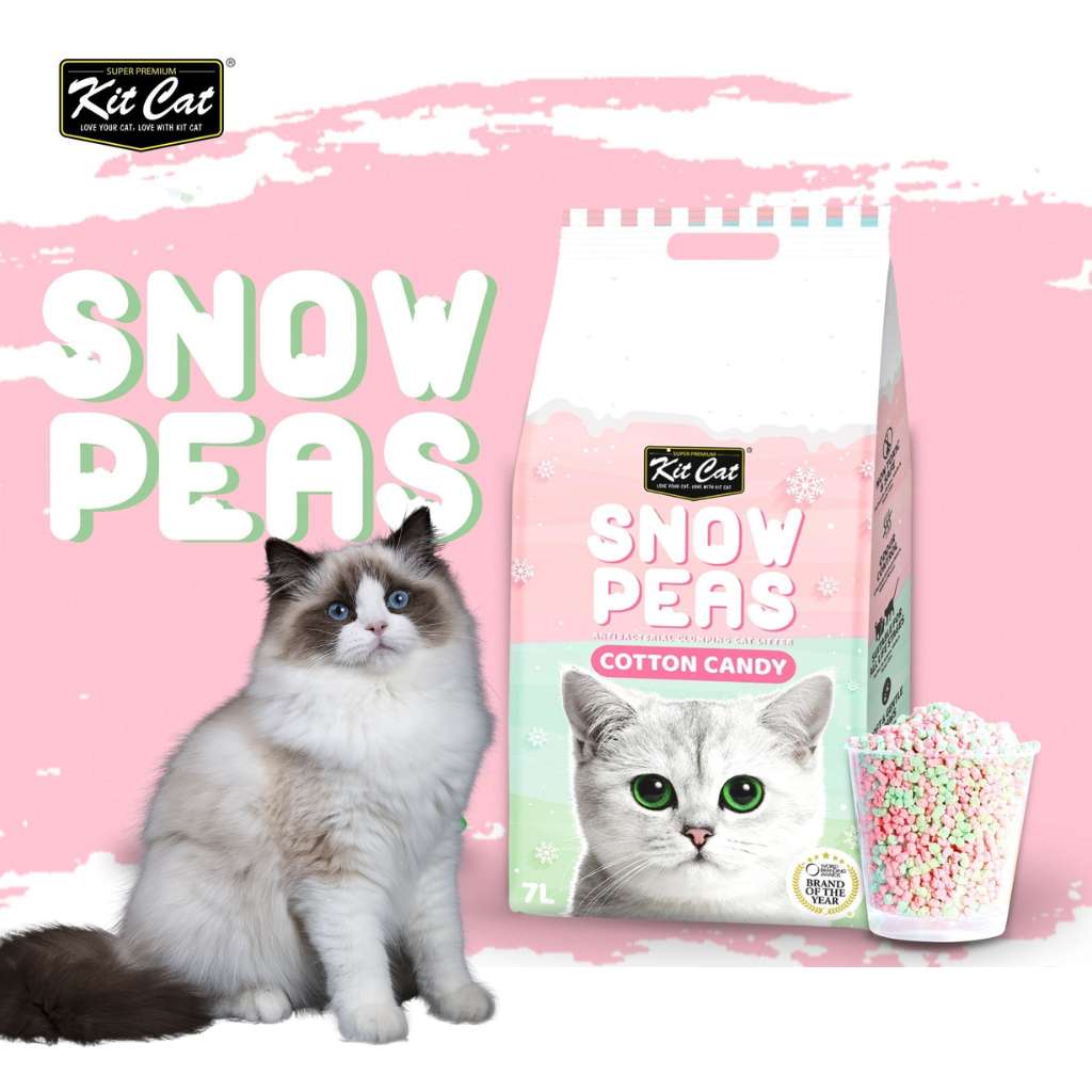[7L] Cát Đậu Tuyết Snow Peas Kit Cat Mèo
