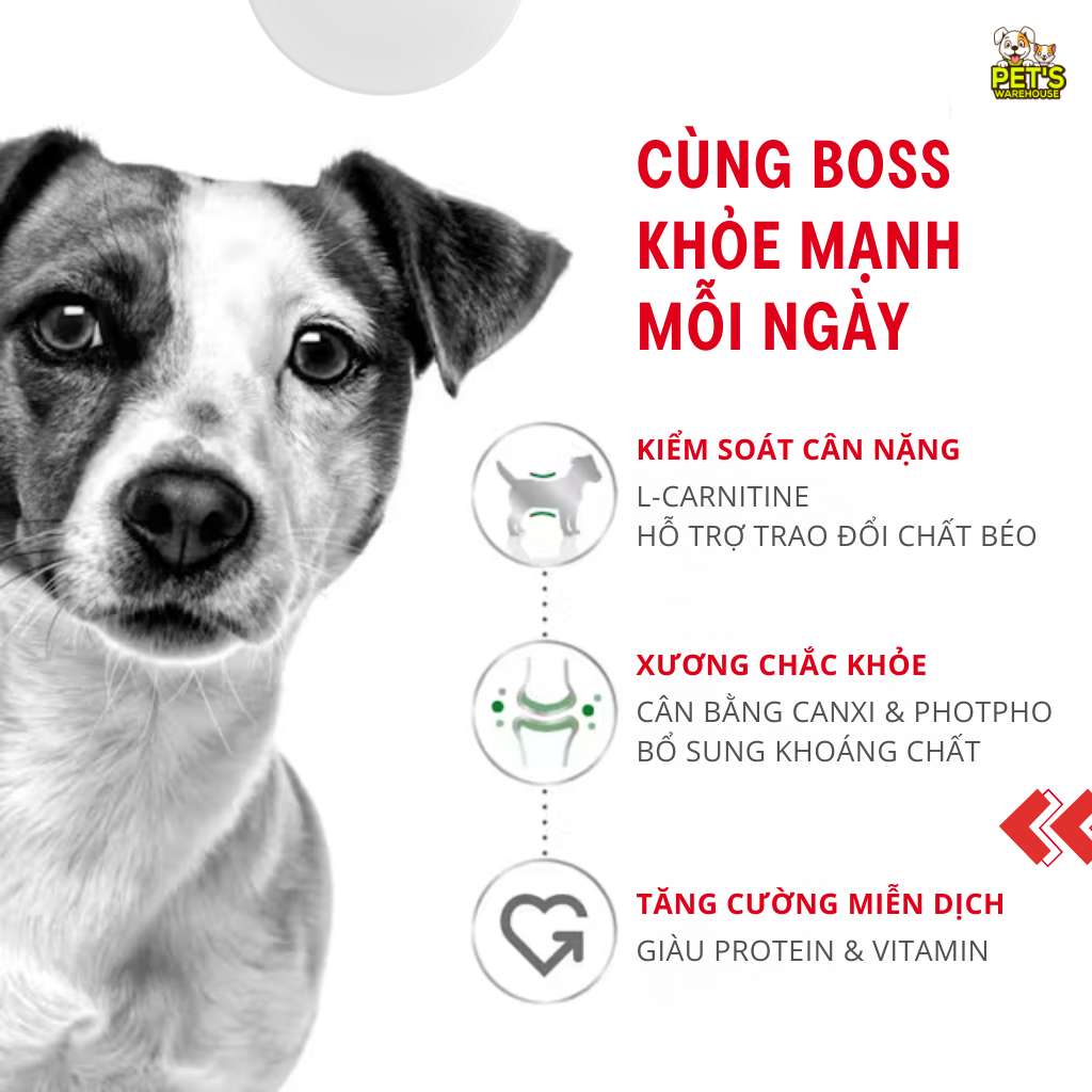 [800G-2KG] Hạt Royal Canin Chó Mini Adult