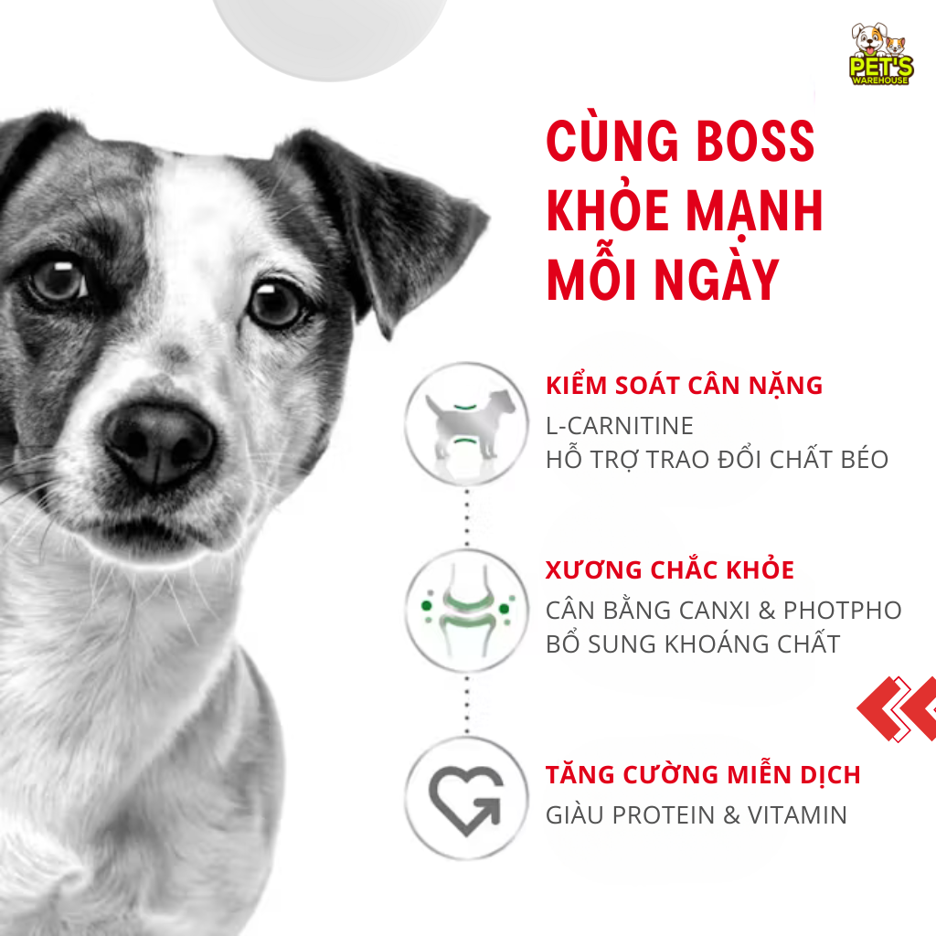 [800G-2KG] Hạt Royal Canin Chó Mini Adult