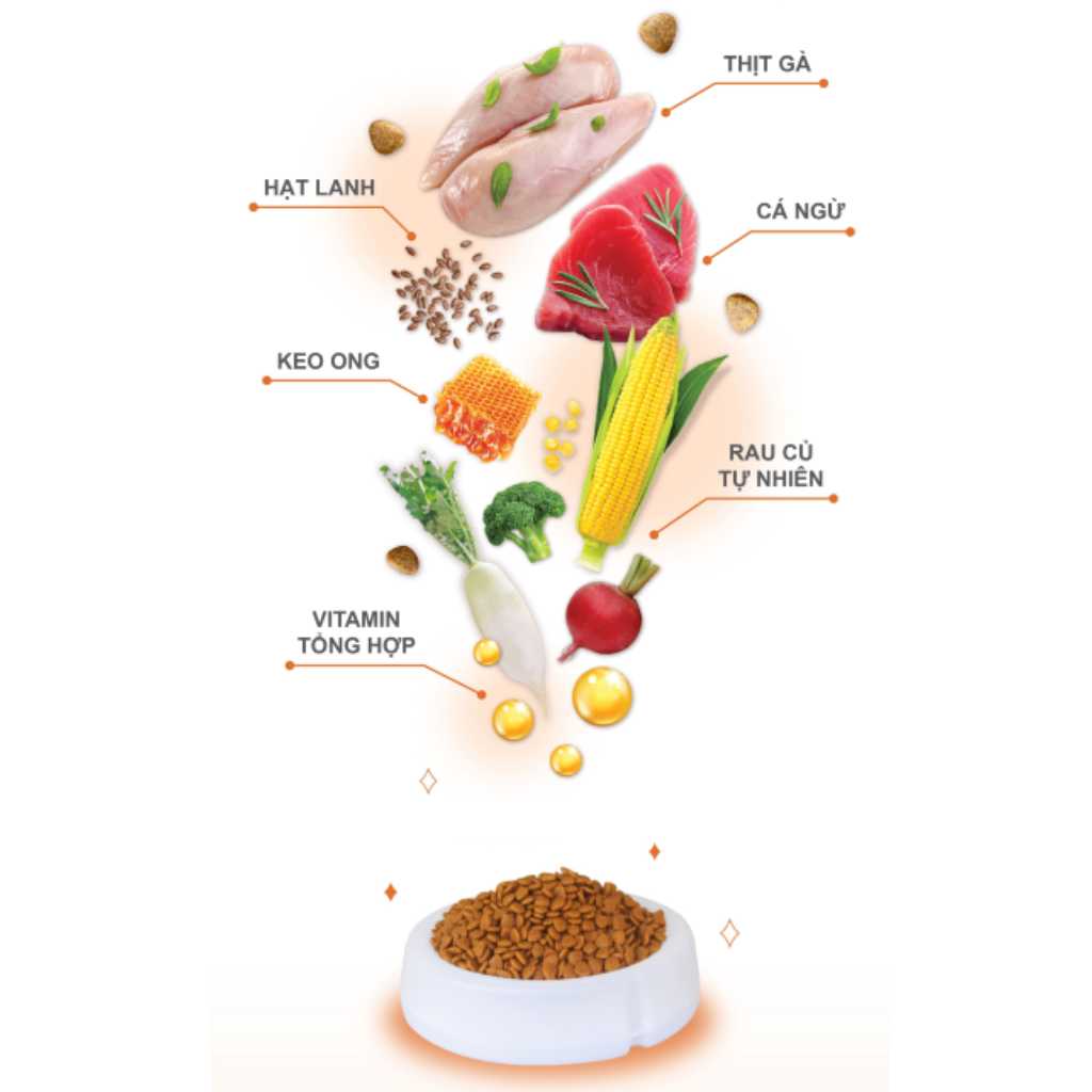 [2KG-5KG] Hạt Catsrang Mèo Mọi Lứa Tuổi