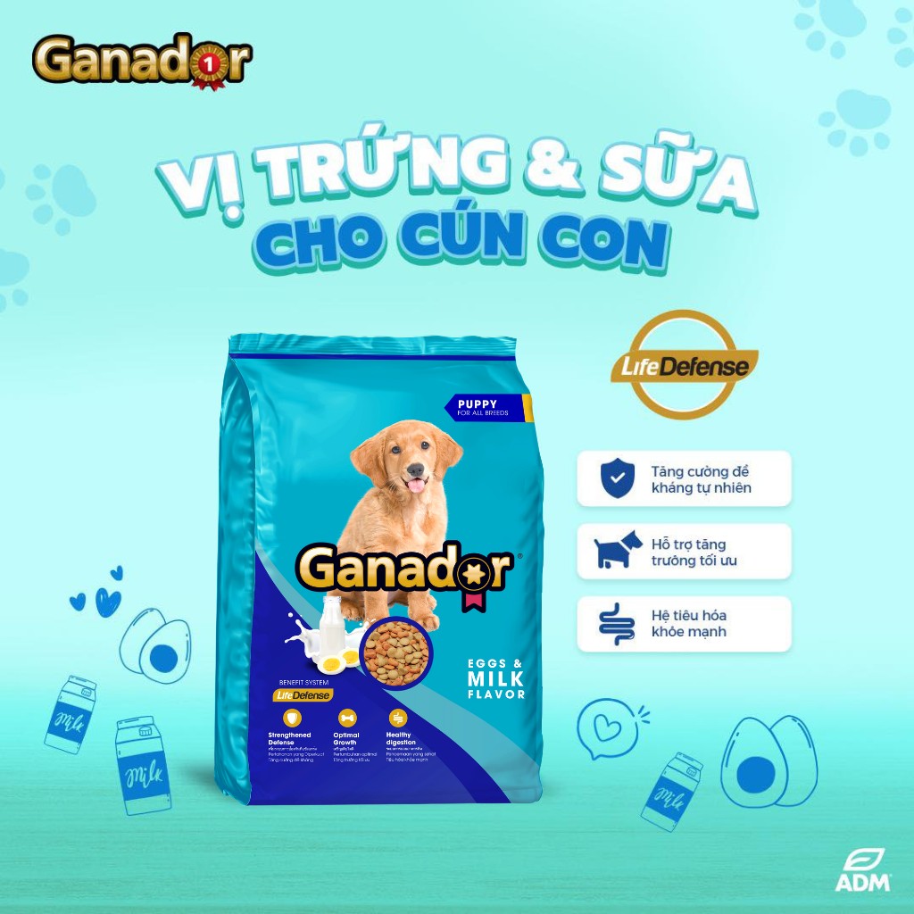 [Combo 4 Gói] Hạt Ganador Cho Chó Mọi Lứa Tuổi – Nhiều Vị Ngon, Túi 400g