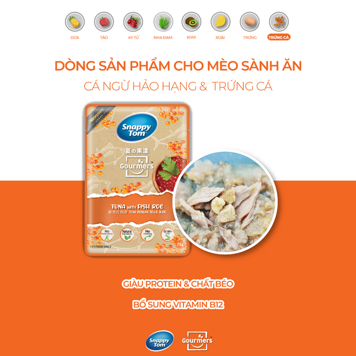 Pate Snappy Tom Trái Cây Mèo Gói 70G