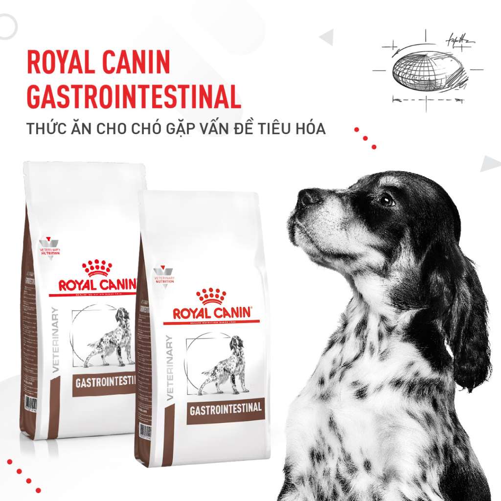 [2KG] Hạt Royal Canin Chó Gastrointestinal